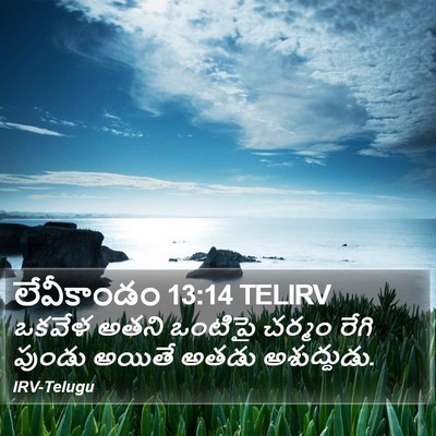 లేవీకాండం 13:14 TELIRV Bible Verse Image