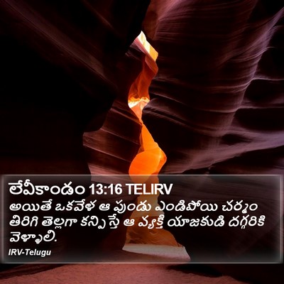 లేవీకాండం 13:16 TELIRV Bible Verse Image