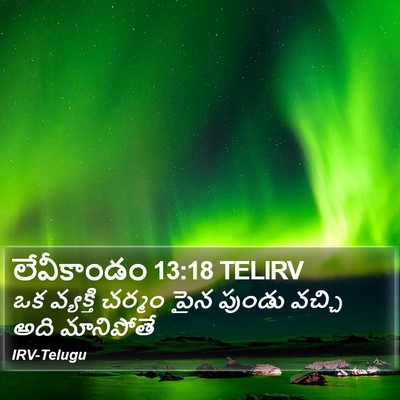 లేవీకాండం 13:18 TELIRV Bible Verse Image