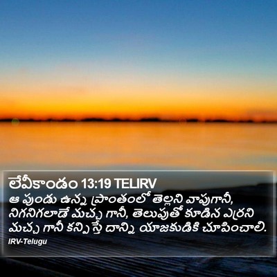 లేవీకాండం 13:19 TELIRV Bible Verse Image