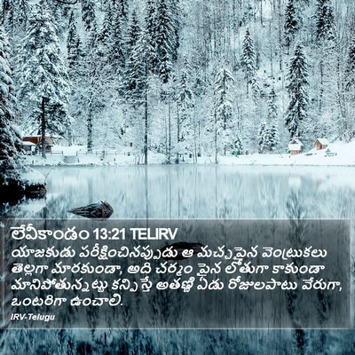 లేవీకాండం 13:21 TELIRV Bible Verse Image