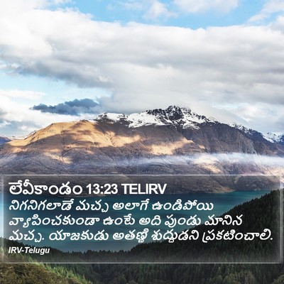 లేవీకాండం 13:23 TELIRV Bible Verse Image