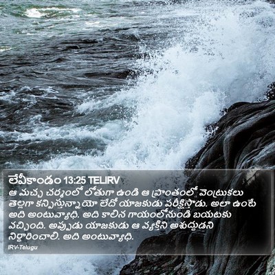 లేవీకాండం 13:25 TELIRV Bible Verse Image