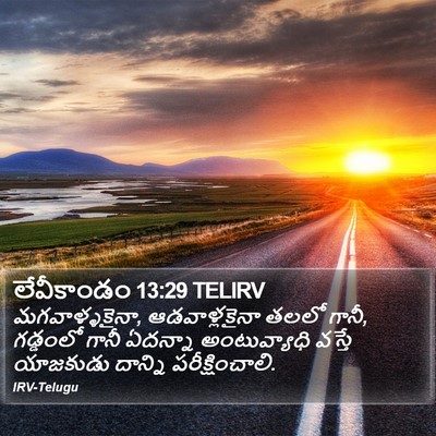 లేవీకాండం 13:29 TELIRV Bible Verse Image