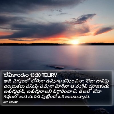 లేవీకాండం 13:30 TELIRV Bible Verse Image