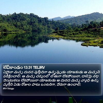 లేవీకాండం 13:31 TELIRV Bible Verse Image