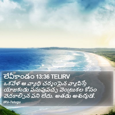 లేవీకాండం 13:36 TELIRV Bible Verse Image