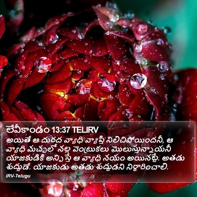 లేవీకాండం 13:37 TELIRV Bible Verse Image