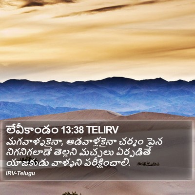 లేవీకాండం 13:38 TELIRV Bible Verse Image