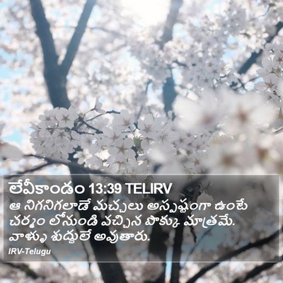 లేవీకాండం 13:39 TELIRV Bible Verse Image