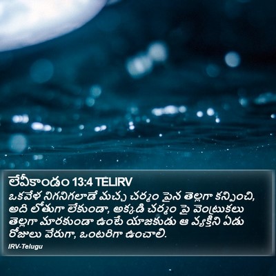 లేవీకాండం 13:4 TELIRV Bible Verse Image