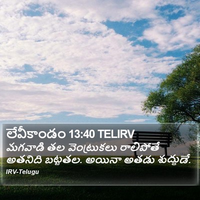 లేవీకాండం 13:40 TELIRV Bible Verse Image