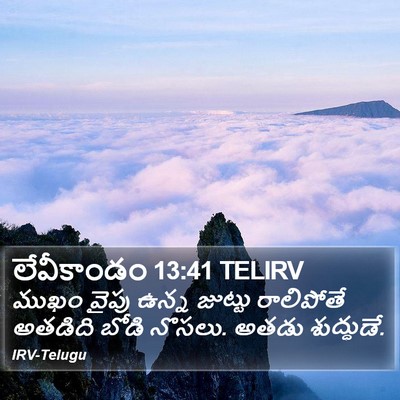 లేవీకాండం 13:41 TELIRV Bible Verse Image