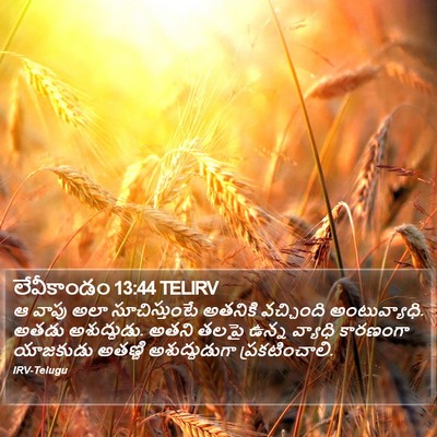 లేవీకాండం 13:44 TELIRV Bible Verse Image