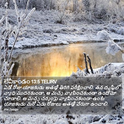 లేవీకాండం 13:5 TELIRV Bible Verse Image