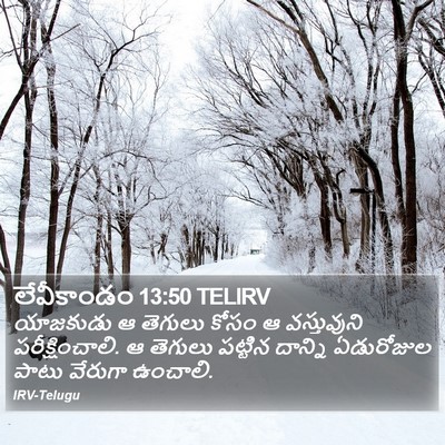 లేవీకాండం 13:50 TELIRV Bible Verse Image
