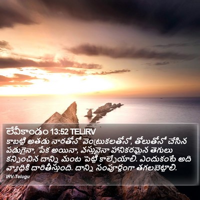 లేవీకాండం 13:52 TELIRV Bible Verse Image