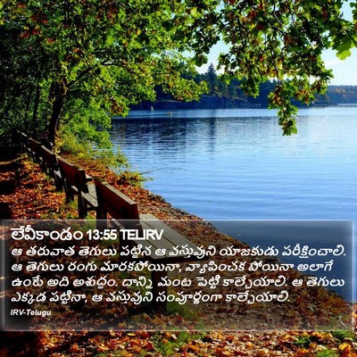 లేవీకాండం 13:55 TELIRV Bible Verse Image