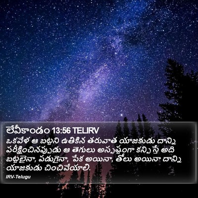 లేవీకాండం 13:56 TELIRV Bible Verse Image