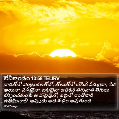 లేవీకాండం 13:58 TELIRV Bible Verse Image