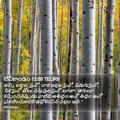 లేవీకాండం 13:59 TELIRV Bible Verse Image