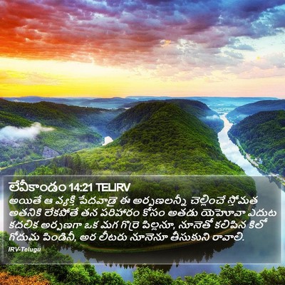 లేవీకాండం 14:21 TELIRV Bible Verse Image
