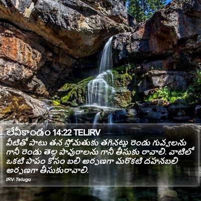 లేవీకాండం 14:22 TELIRV Bible Verse Image