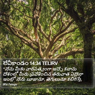 లేవీకాండం 14:34 TELIRV Bible Verse Image