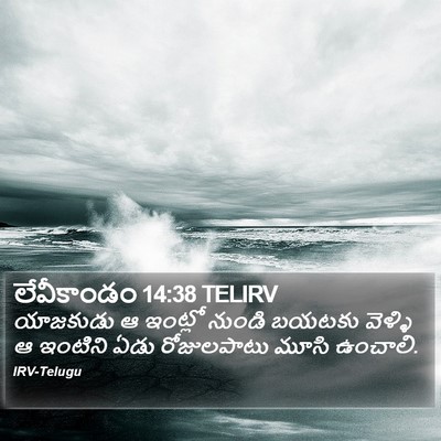 లేవీకాండం 14:38 TELIRV Bible Verse Image