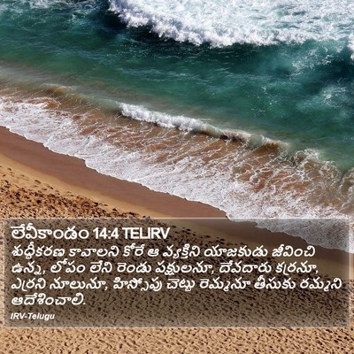 లేవీకాండం 14:4 TELIRV Bible Verse Image