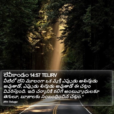 లేవీకాండం 14:57 TELIRV Bible Verse Image