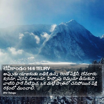లేవీకాండం 14:6 TELIRV Bible Verse Image