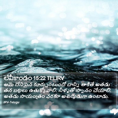 లేవీకాండం 15:22 TELIRV Bible Verse Image