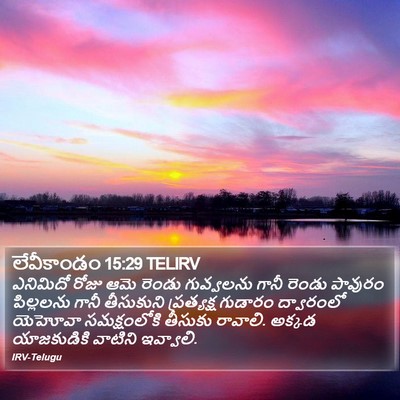 లేవీకాండం 15:29 TELIRV Bible Verse Image