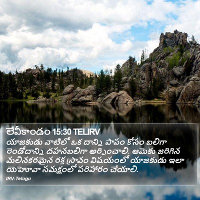 లేవీకాండం 15:30 TELIRV Bible Verse Image