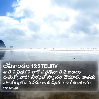 లేవీకాండం 15:5 TELIRV Bible Verse Image