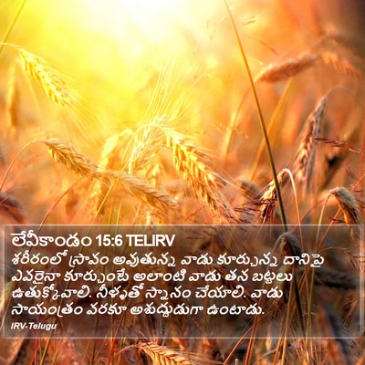లేవీకాండం 15:6 TELIRV Bible Verse Image
