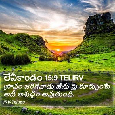 లేవీకాండం 15:9 TELIRV Bible Verse Image