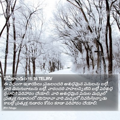 లేవీకాండం 16:16 TELIRV Bible Verse Image