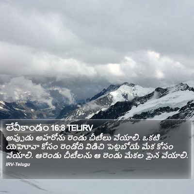 లేవీకాండం 16:8 TELIRV Bible Verse Image