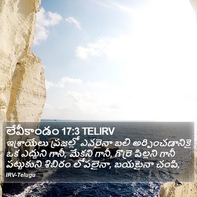 లేవీకాండం 17:3 TELIRV Bible Verse Image