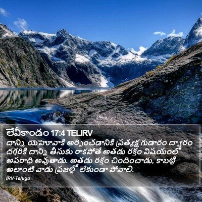 లేవీకాండం 17:4 TELIRV Bible Verse Image