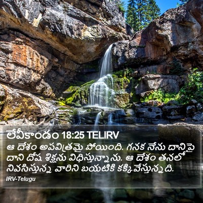 లేవీకాండం 18:25 TELIRV Bible Verse Image