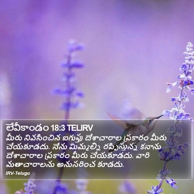 లేవీకాండం 18:3 TELIRV Bible Verse Image