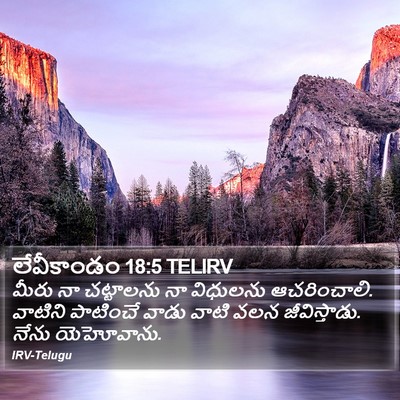 లేవీకాండం 18:5 TELIRV Bible Verse Image