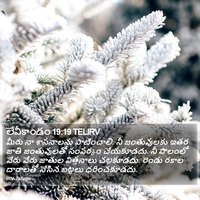 లేవీకాండం 19:19 TELIRV Bible Verse Image