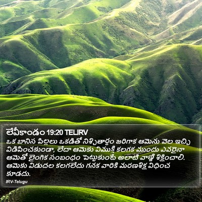 లేవీకాండం 19:20 TELIRV Bible Verse Image