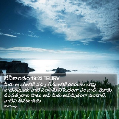 లేవీకాండం 19:23 TELIRV Bible Verse Image
