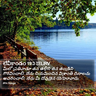 లేవీకాండం 19:3 TELIRV Bible Verse Image