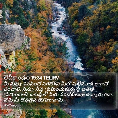 లేవీకాండం 19:34 TELIRV Bible Verse Image
